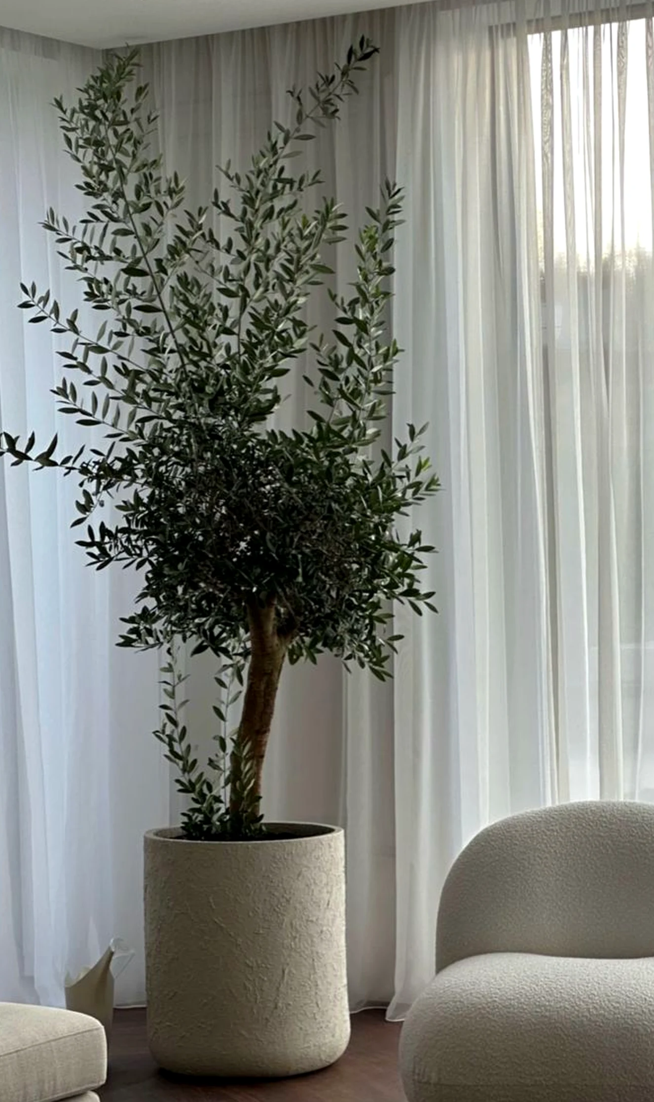 Luminous patio corner supports the wall through detail, leaving the space feeling quietly finished.