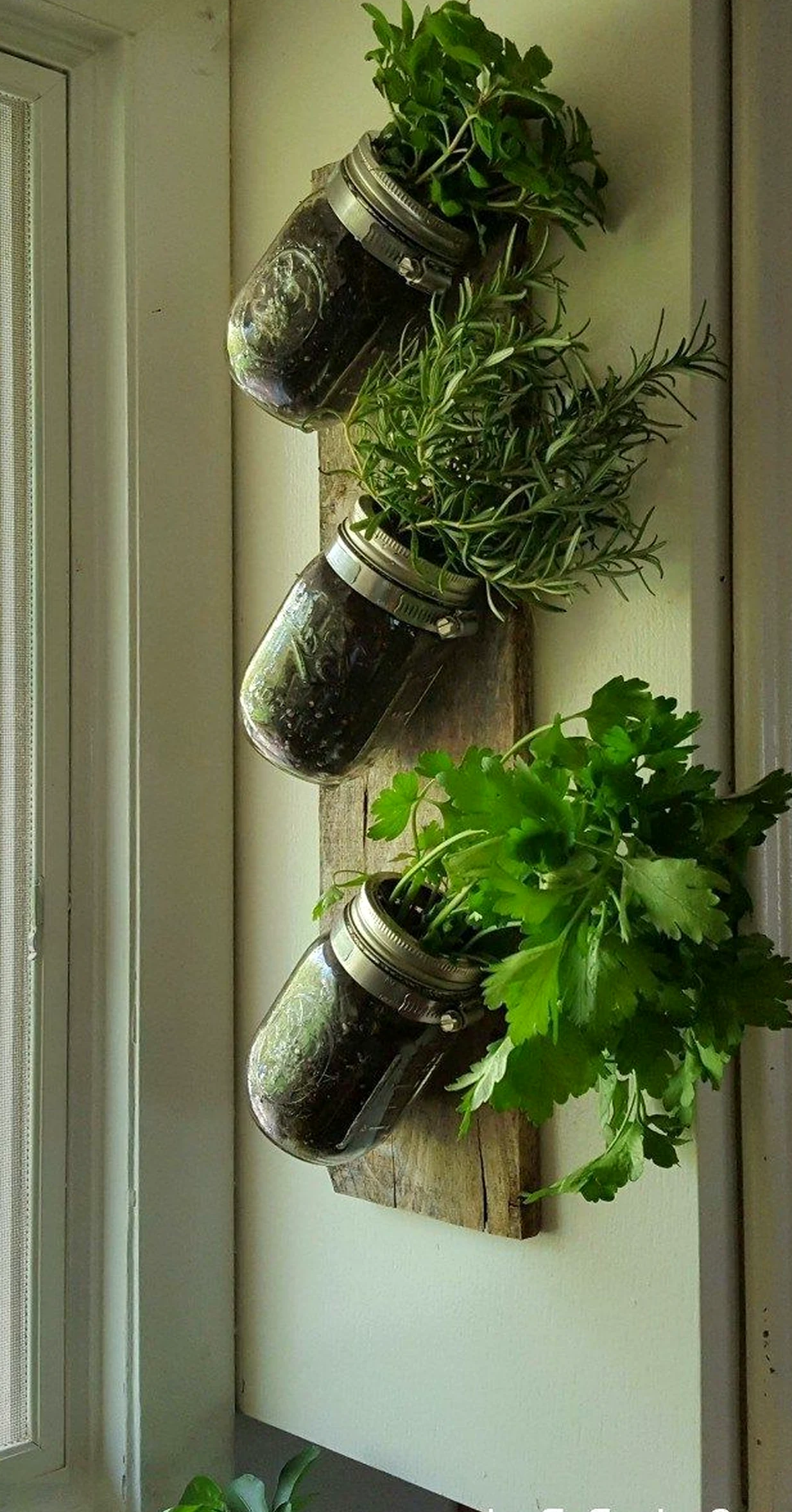 Crisp garden border adds order across the arrangement, giving the decor a finish that feels simple yet expressive.